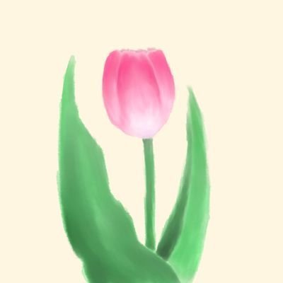 ねりあさんのプロフィール画像