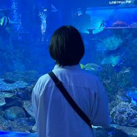さく (@39_sak_sskr) 's Twitter Profile Photo さく (@39_sak_sskr) 's Twitter Profile Photo