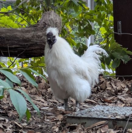 kitahar23446511's profile picture. こんにちは！きたはらです😄　
26歳男です。趣味はカラオケ🎤(よくミセス🍏を歌います）/ラーメン🍜(特に家系ラーメンが大好きです）/ボードゲーム🎲/漫画📚️/リアル脱出ゲーム⛓️/たまに旅行✈️
宜しくお願いします😆