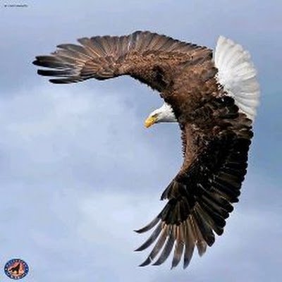 FostaBaloy84217's profile picture. 