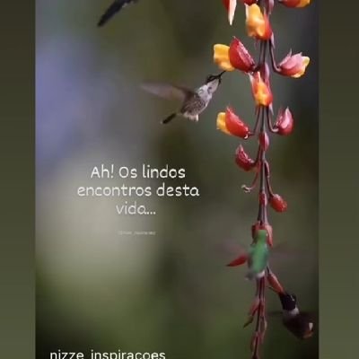 Santos23352M's profile picture. 