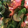 Kageros181's profile picture. 格好良くて可愛い女の子がすこなんだわよ