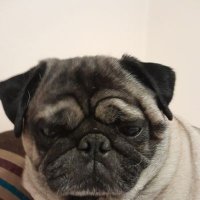 WeathEr (@weather_r6) 's Twitter Profile