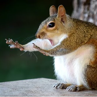 SarahThomp21079's profile picture. Rolling dice