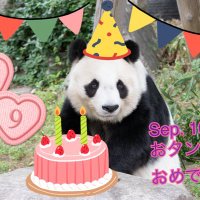 あまっくま🐼🌻✨✨ (@love_panda_rira) 's Twitter Profile Photo あまっくま🐼🌻✨✨ (@love_panda_rira) 's Twitter Profile Photo