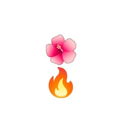 🐈⬛ブラックオキナワタレコミ✉️➡✉連載アカ🌺🌴🍹👙✨💕🐠🌴沖縄あるある早く言いたい‼️米軍基地☆ダイビング☆マリンレジャー☆移住☆旅行☆南国☆些細なことでもタレコミお待ちしてます🎶okinawa information centerฅ⚠There's only love in the world