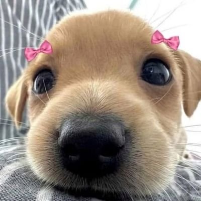 nammyrrt's profile picture. CPA by 10.26🙌