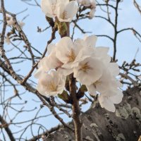 三日 (@qtcjzsvipd92037) Twitter profile photo