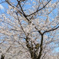 s k (@k1143520316) 's Twitter Profile Photo