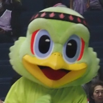 vcasss1005's profile picture. レバンガ、バスケ、お笑い、Podcast大好き❤いい具合に油乗ってきた私がソロ活を報告する場所です🏟️