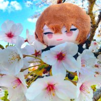 さくら (@skr_milk2) 's Twitter Profile