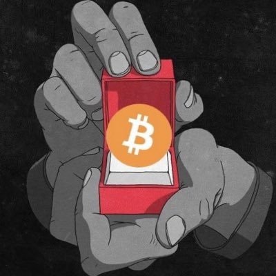 COCI0208's profile picture. web3流浪者