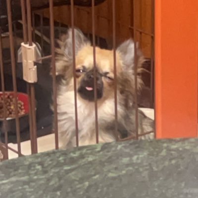 colk294832's profile picture. 派遣3dアニメーターです 使用ツールはmaya  です。