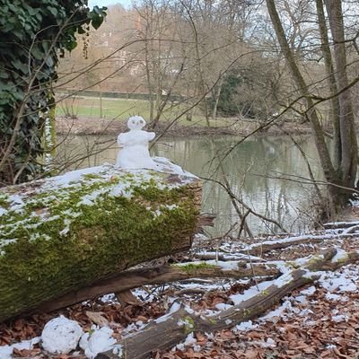 gialui1958's profile picture. 