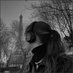 Fawdaub (@fawdaub8600) Twitter profile photo Fawdaub (@fawdaub8600) Twitter profile photo