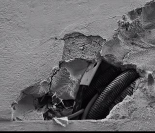 BasGhisletta's profile picture. 