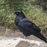 🌸大路🌸 (@mim950t7ts61915) 's Twitter Profile