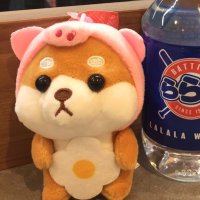 たにやん (@zym89nzsqt) 's Twitter Profile