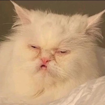 Testing10114's profile picture. 