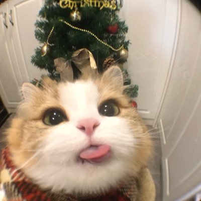 5Eti3NqQzK4GtkI's profile picture. 