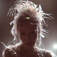 dollsexuel (@joeeltoraa) 's Twitter Profile