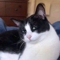 ʷᵘⁿᵈᵃʳᶠᵘˡ (@wundarful1) 's Twitter Profile