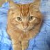 Sheila Rodell (@redmog666) Twitter profile photo Sheila Rodell (@redmog666) Twitter profile photo