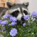 DN_ware (@dinothefloof) Twitter profile photo DN_ware (@dinothefloof) Twitter profile photo