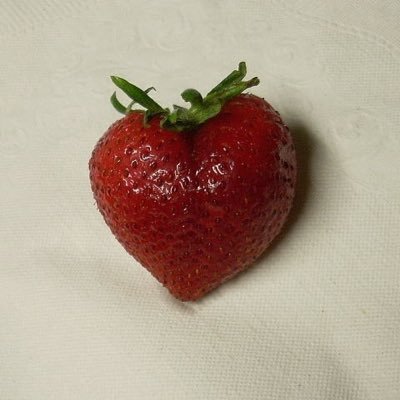 ギター弾きます