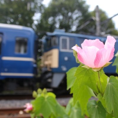 shicho_me's profile picture. 当方受験生につき謹慎中