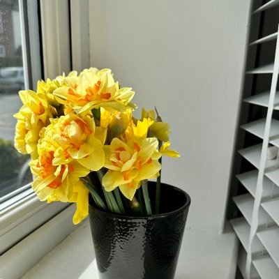 Obidiyya's profile picture. Introvert, nwata chineke, peacemaker