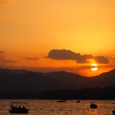 novemsol666's profile picture. 