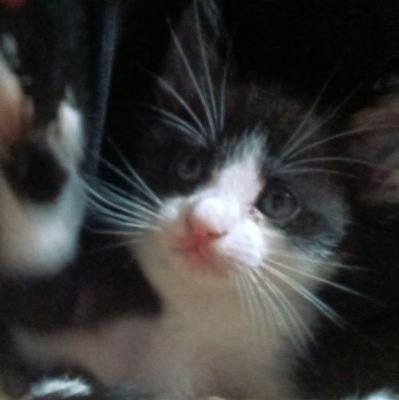 gabzi1a's profile picture. 💛🤍💜🖤 - qualquer pronome tá bom / conta de arte: @gabisztwt