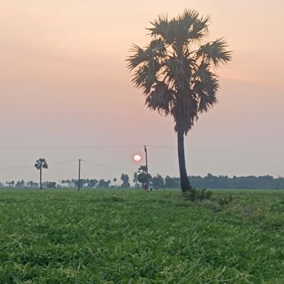 Agri-culture. Fan (❤) of Kamarajar and Voice of RajKumar. Single_+/-life