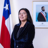 Claudia Donaire Gaete (@claudiadonaireg) 's Twitter Profile