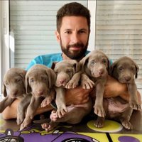 John Alex (@johnalex6238) 's Twitter Profile