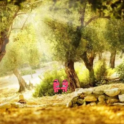 david159242182's profile picture. 