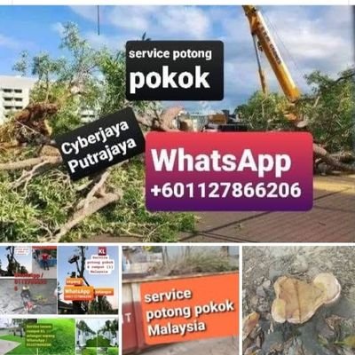 service potong pokok & rumput+ renovtion rumah/tanam rumput & pokok - KL -selangor- sepang+ - on WhatsApp. https://t.co/YuhvgBsVc6
