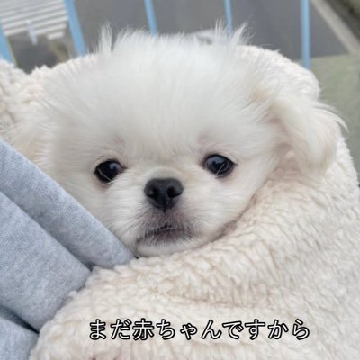 ななせさんのプロフィール画像