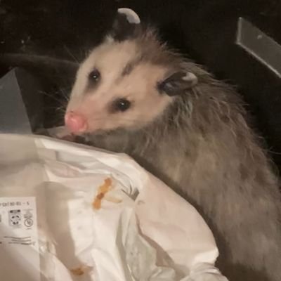 It's Me, I am a 4 at Best,I I am a Good Man, a Father, a Grandpa
To Love and Be Loved