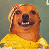 도히 (@naeilsang1) 's Twitter Profile Photo