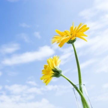 k24_mirai's profile picture. 