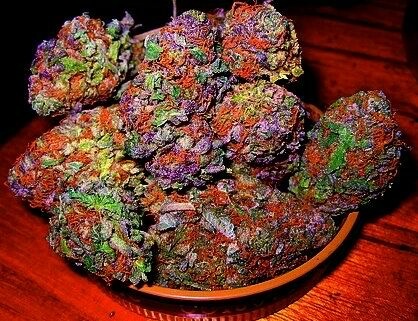 SUNNYSIDEG's profile picture. 