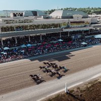 Meadows Racing Info (@meadowsracingin) 's Twitter Profile Photo