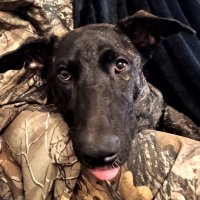 TGrec (@tgpenn1) 's Twitter Profile