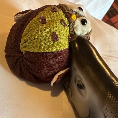 鮭夫に噛まれているフクロウのお手玉/ゴスマニ(箱推2スペ寄/ニチアサ特撮/ONE PIECE単行本派ゾロサボロー推/審神者歴:八年/雑食(好き嫌いは有〼)/20↑/数稼ぎ出会い垢は即ブロします/バナーイラスト:もりいちようさんhttps://t.co/u7RgHvcKy6