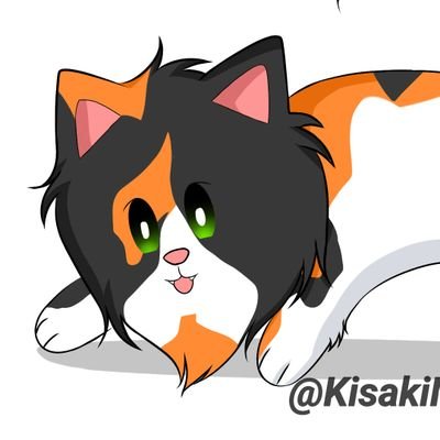 ❄Kisaki🌺さんのプロフィール画像