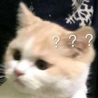 น้องเถียน ୨ৎ (@tianxmini) 's Twitter Profile Photo