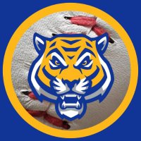 Hancock Tigers Baseball (@playballtigers) 's Twitter Profile