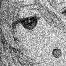 ナカノ (@nakano_ffffff) Twitter profile photo